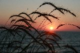 Dolci ricordi al tramonto